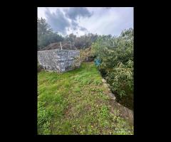 Terreno agricolo a Nunziata di Mascali - 10