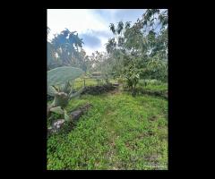 Terreno agricolo a Nunziata di Mascali - 11