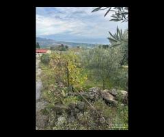 Terreno agricolo a Nunziata di Mascali - 13