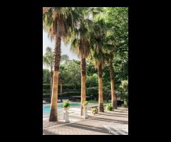 Proprietà con piscina Linguaglossa