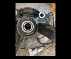 mozzo new panda new y