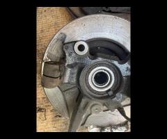 mozzo new panda new y