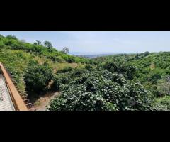 Terreno con fabbricati a Giarre