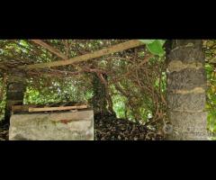 Terreno con fabbricati a Giarre - 12