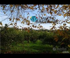 Soluzione singola con terreno a Macchia di Giarre