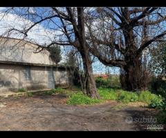 Soluzione singola con terreno a Macchia di Giarre