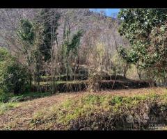 Soluzione singola con terreno a Macchia di Giarre