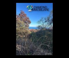 Terreno agricolo con casotto Fleri-Zafferana Etnea