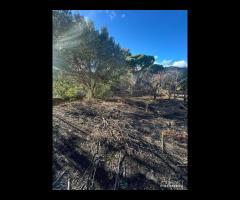 Terreno agricolo con casotto Fleri-Zafferana Etnea