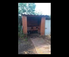 Terreno agricolo con casotto Fleri-Zafferana Etnea - 6