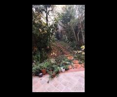 Falconara bilocale con giardino esclusivo - 6