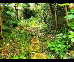 Falconara bilocale con giardino esclusivo - 7