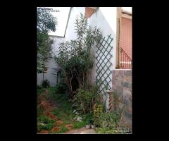 Falconara bilocale con giardino esclusivo - 8