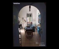 Loft - Appartamento in duplex a Monte San Vito - 10