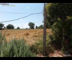 Casale buone condizioni a Monsano - 9