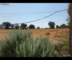 Casale buone condizioni a Monsano - 13