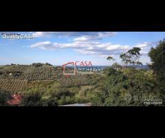 Casa abbinata con giardino Monte San Vito