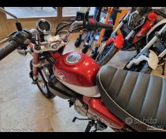 Honda Monkey 125 ABS - 07/2020 - 980 km - 6