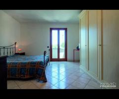 Villa Daniela Porto Cesareo - 19