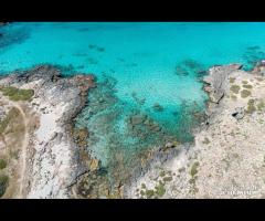 Villa Ottavia Torre Castiglione - 8