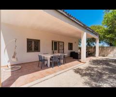 Villa Iris Punta Prosciutto - 23