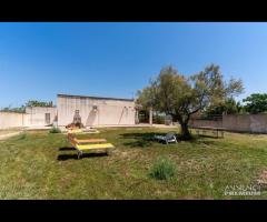 Villa Iris Punta Prosciutto - 27