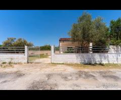 Villa Iris Punta Prosciutto - 29