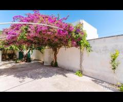 Villa Lola Porto Cesareo - 12