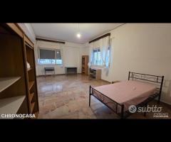 Sperone, appartamento con giardino - 25