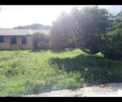 Zafferia, Casa Indipendente con terreno