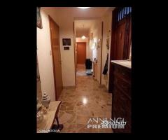 Svincolo gazzi,4 vani e servizi con posto auto - 11