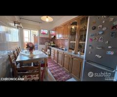 Complesso Albachiara, luminoso trivani e posto aut - 18