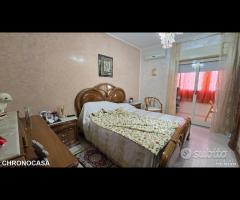 Complesso Albachiara, luminoso trivani e posto aut - 19