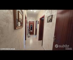 Complesso Albachiara, luminoso trivani e posto aut - 29