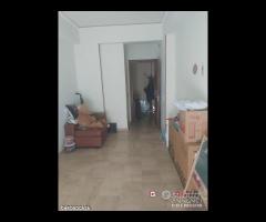 Contesse pressi centro Commerciale 3 vani oltre - 9