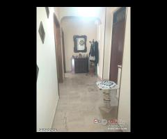 Contesse pressi centro Commerciale 3 vani oltre - 12