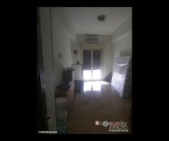 Contesse pressi centro Commerciale 3 vani oltre - 13