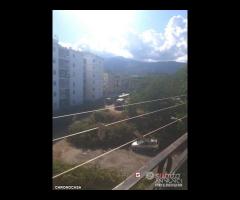 Contesse pressi centro Commerciale 3 vani oltre - 14