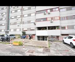 Zafferia, luminoso trivani con posto auto e cantin