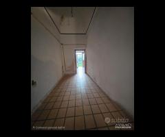 TALSANO- Via Lepanto , indipendente con giardino - 19