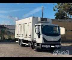 EUROCARGO 80E19 E6 CASSA FRIGO 5.40 FRC 09-2028 (2