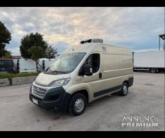 Fiat ducato 2.3 mjet frigo trasporto carne atp 09-