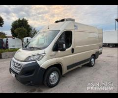 Fiat ducato 2.3 mjet frigo trasporto carne atp 09-