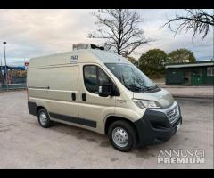 Fiat ducato 2.3 mjet frigo trasporto carne atp 09-