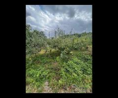 Casa singola con terreno a Sant'Alfio - 14