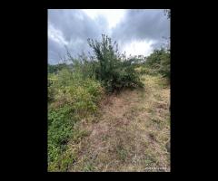 Casa singola con terreno a Sant'Alfio - 15