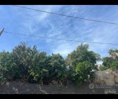 Terreno edificabile 2000mq a Tagliaborse-Giarre