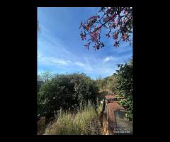 Terreno edificabile 2000mq a Tagliaborse-Giarre