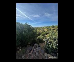 Terreno edificabile 2000mq a Tagliaborse-Giarre