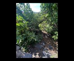 Terreno edificabile 2000mq a Tagliaborse-Giarre